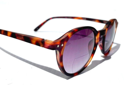 Gry Mattr DESIGNER SUN READERS CREATIVE Matte Tokyo Tortoise Bifocal Sunglass