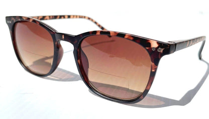 Gry Mattr DESIGNER SUN READERS SUAVE Matte TORTOISE Brown Bifocal Sunglass
